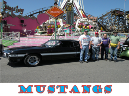 Mustangs